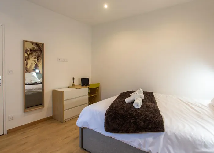 La Chute Des Feuilles - Lit Double- T2 Hyper Centre Apartment