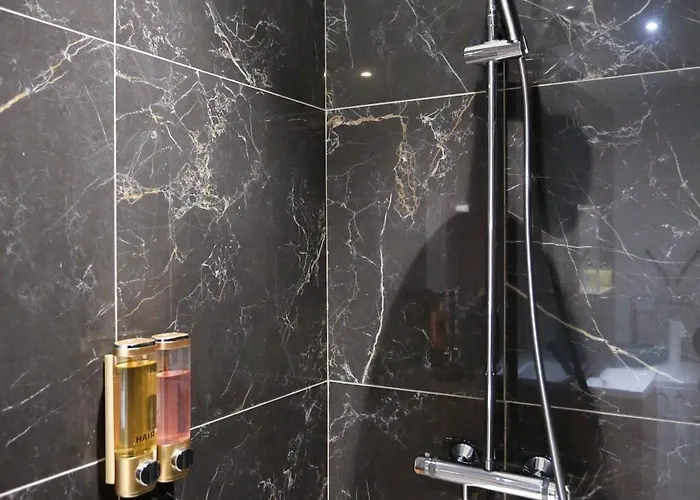 La Chute Des Feuilles - Lit Double- T2 Hyper Centre Apartment *